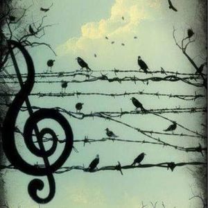 Meet your Posher, Alvaro